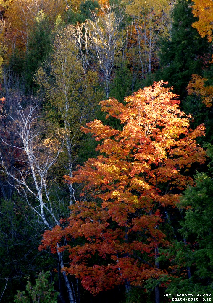 23204CrLe - Autumn colours from the Taunton Road bridge over Duffins Creek